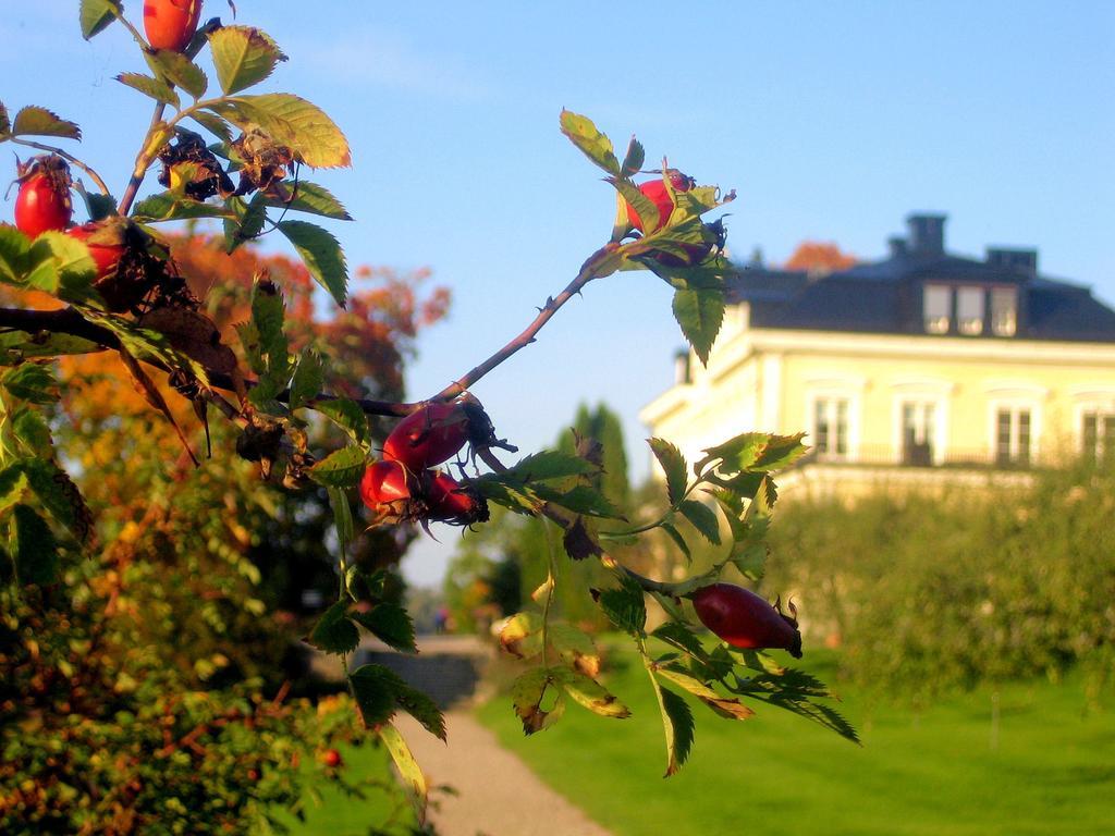 Faerna Herrgard & Spa Buitenkant foto